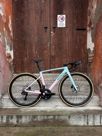 Scott, Addict RC 10 2025