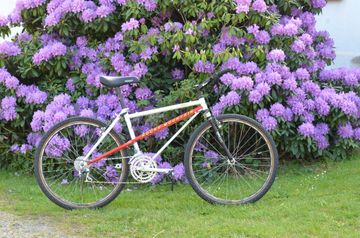 Rocky Mountain SUMMIT 1990 Frameset 1990 Mountainbike usato, Bianco — immagine 4 di 12