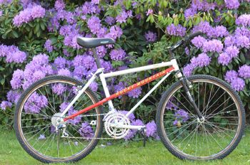 Rocky Mountain, SUMMIT 1990 Frameset