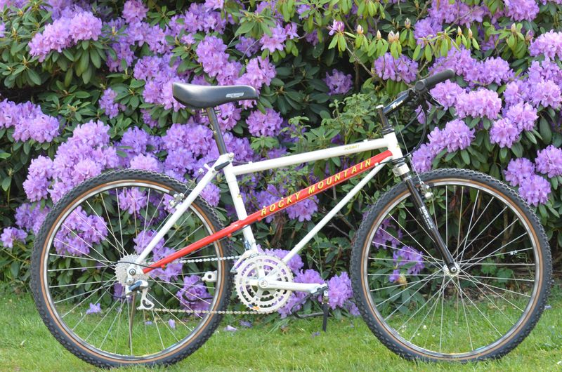 Rocky Mountain SUMMIT 1990 Frameset 1990 MTB usato