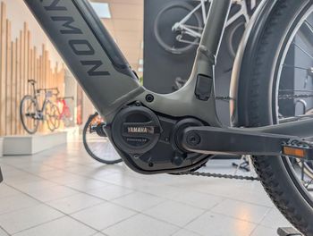 Used Raymon Raymon Tourray Pro 800 2025 Urban, Hellgrau — image 9 of 9