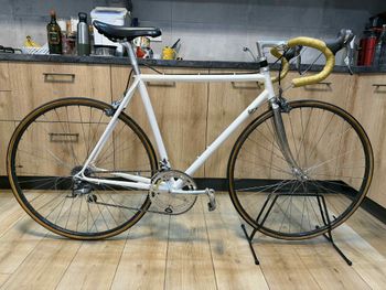 Masi, 3V. Acciaio Vintage. Pantografato.