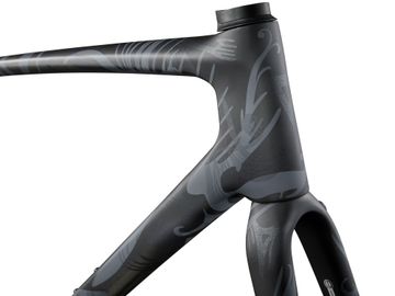 Brugt Giant TCR Advanced SL Disc Frameset Frameset 2024 Road & Gravel — billede 4 af 5