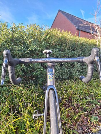 Used Thompson Century 2022 Road & Gravel, Hellgrau — image 9 of 9
