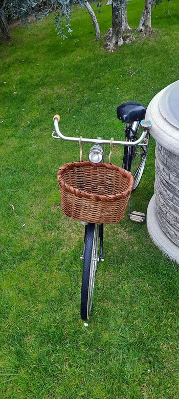 Bianchi, Bianchi Bicicletta Da Passeggio Donna 1981