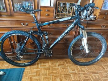 Canyon Nerve XC 2010 Mountainbike d'occasion — image 2 sur 11