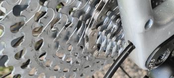 Used De Rosa Gravel Ekar / Campagnolo Ekar 1x13 2022 Road & Gravel, Orange — image 21 of 25