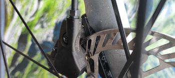 Used De Rosa Gravel Ekar / Campagnolo Ekar 1x13 2022 Road & Gravel, Orange — image 22 of 25