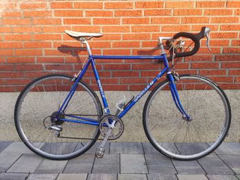 Gazelle, Champion Mondial