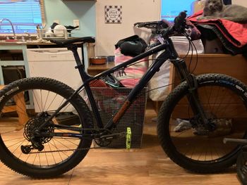 Diamondback, Sync'r 2023