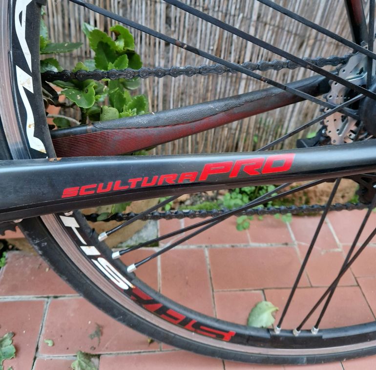 Used Merida Scultura Campagnolo Record 2014 Road & Gravel, Negro — image 13 of 16