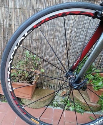 Used Merida Scultura Campagnolo Record 2014 Road & Gravel, Negro — image 2 of 16