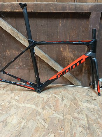 Giant, Tcr Avanced Carbone Patin Frameset