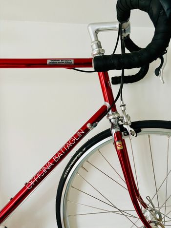 Battaglin, Battaglin Collezione Speciale