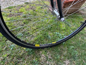 Used Cannondale Cad 3 Saeco 1997 Road & Gravel, Rot — image 2 of 6