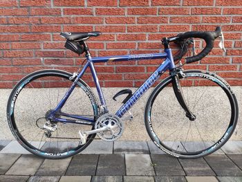 Concorde, Mistral 300 Campagnolo
