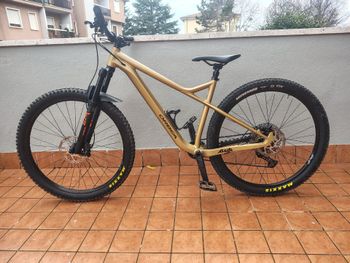 Used Orbea LAUFEY H10 2022 2022 Mountainbike, Orange, 29 — image 1 of 7