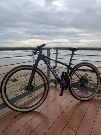 Trek, Procaliber 9.6 2020