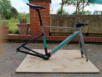 Focus, IZALCO MAX DISC 9.7 2021 Frameset