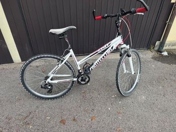 Bottecchia, Fx 6061