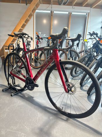 Trek, Domane SL 6 Gen 3 2023