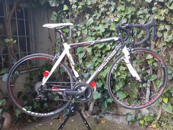 Olmo, Olmo Zeffiro KT 2007