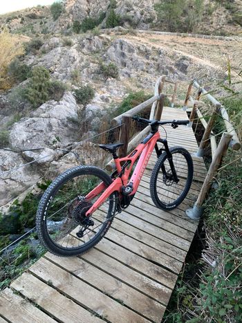 Used Forestal Siryon Neon 2023 2023 Mountainbike, Red, 29 — image 1 of 9