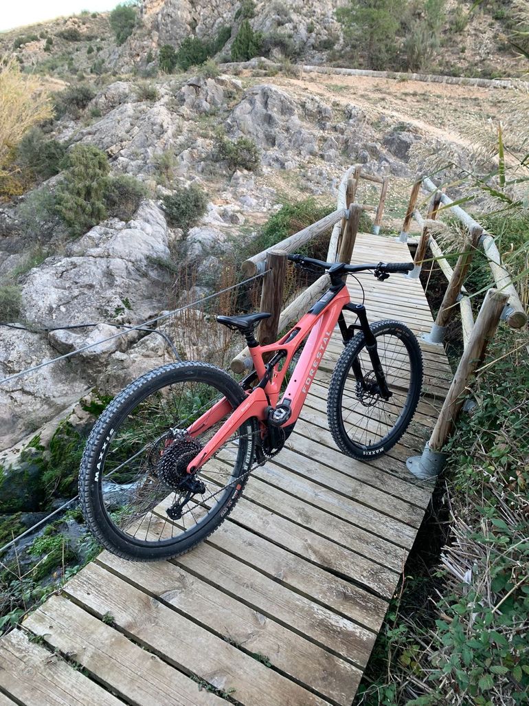 Used Forestal Siryon Neon 2023 2023 Mountainbike, Red, 29 — image 1 of 9