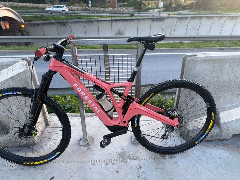 Used Forestal Siryon Neon 2023 2023 Mountainbike, Red, 29 — image 3 of 9