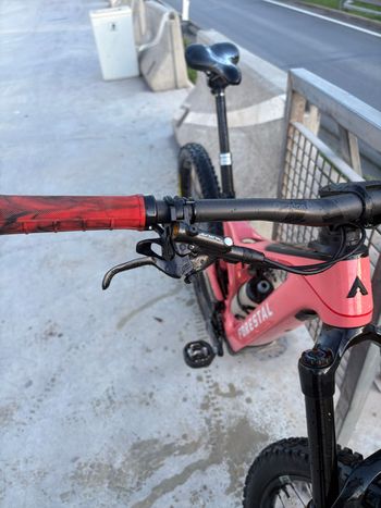 Used Forestal Siryon Neon 2023 2023 Mountainbike, Red, 29 — image 8 of 9