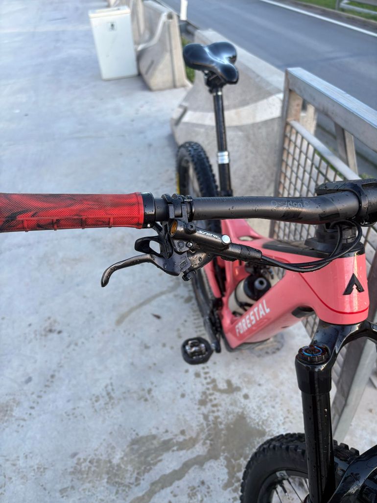 Used Forestal Siryon Neon 2023 2023 Mountainbike, Red, 29 — image 8 of 9