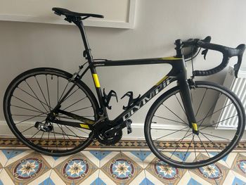 Gebrauchtes Olympia 799 2018 Road & Gravel