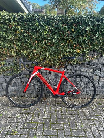 Used Willier Trestina 2024 Road & Gravel, Red — image 9 of 9