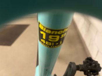 Used Bianchi Nitron 9.4 XT/Deore 1x12 2023 2023 Mountainbike, Green, 29 — image 6 of 6