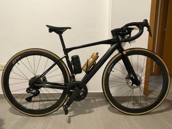 BMC, Roadmachine 01 FIVE 2022