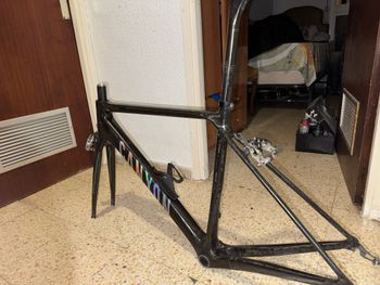 Canyon, CF SL 10 Frameset