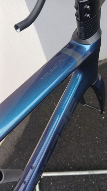 Used Lapierre Xelius SL 7.0 Pearl dark blue 2023 Frameset 2023 Road & Gravel — image 2 of 4