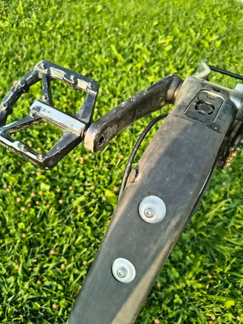 Used Pivot Firebird Frameset 2024 Mountainbike, Light Gray — image 14 of 14