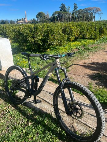 Used CUBE STEREO 170 RACE 29 2021 2021 Mountainbike, Light Gray, 29 — image 4 of 7