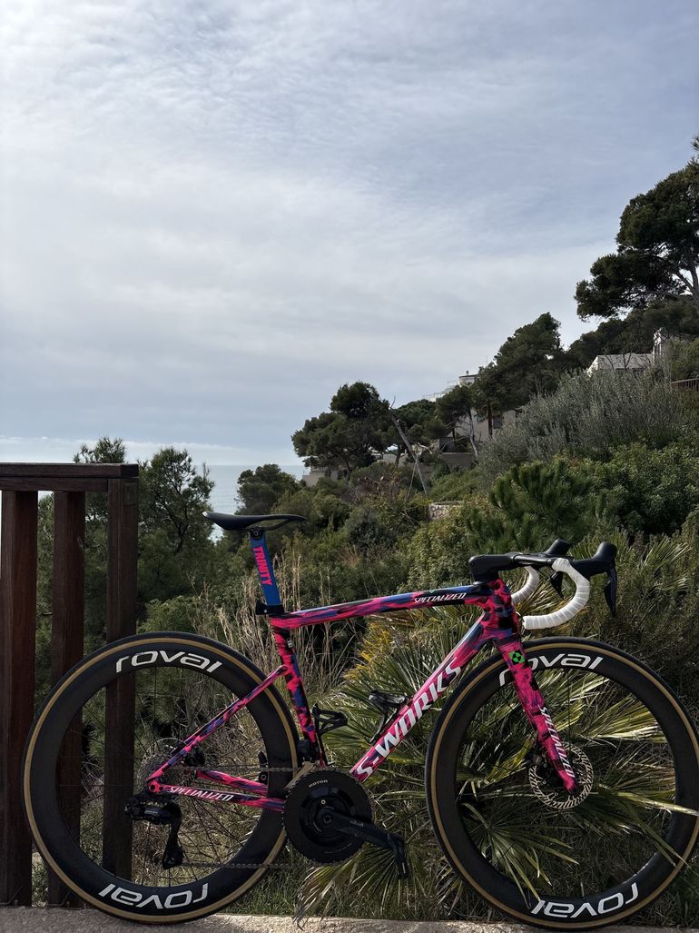 Used Specialized S-Works Tarmac SL8 - Shimano Dura-Ace Di2 2024 2024 Road & Gravel, Purple — image 3 of 6