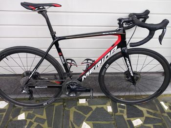 Merida, SCULTURA DISC TEAM 2019