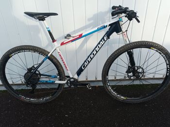 Cannondale, F29 SL