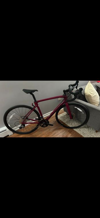 Used Specialized Roubaix 2021 2021 Road & Gravel, Black — image 3 of 3