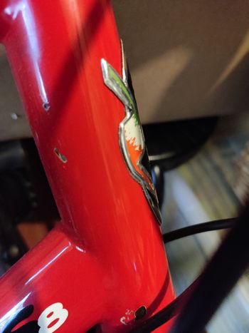 Used SCAPIN S8 2012 Road & Gravel, Black — image 5 of 8