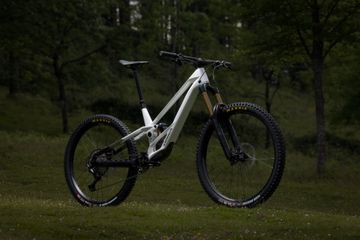 Used Orbea RALLON E-TEAM 2026 2026 Mountainbike, White, 29 — image 2 of 16
