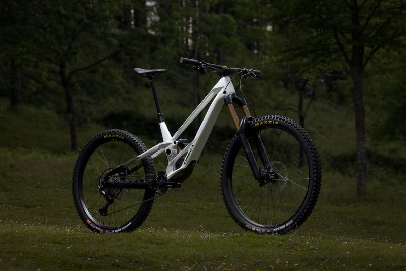 Used Orbea RALLON E-TEAM 2026 2026 Mountainbike, White, 29 — image 2 of 16