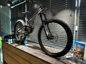 Used Specialized Enduro Comp 2025 2025 Mountainbike, Light Gray, 29 — image 2 of 5