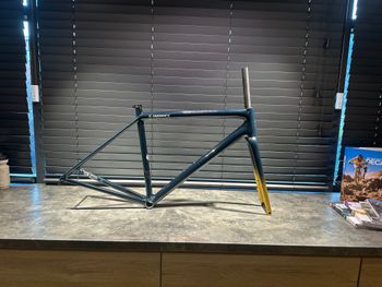 Specialized, AETHOS SW FRMSET Gloss Forest Green/gold Pearl/flake Silver Frameset
