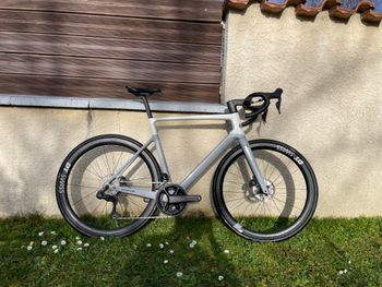 Focus, IZALCO MAX 9.8 2024