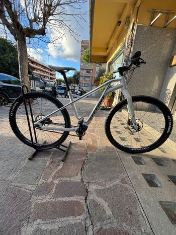 Used Stevens P-carpo 2018 Urban & Touring
